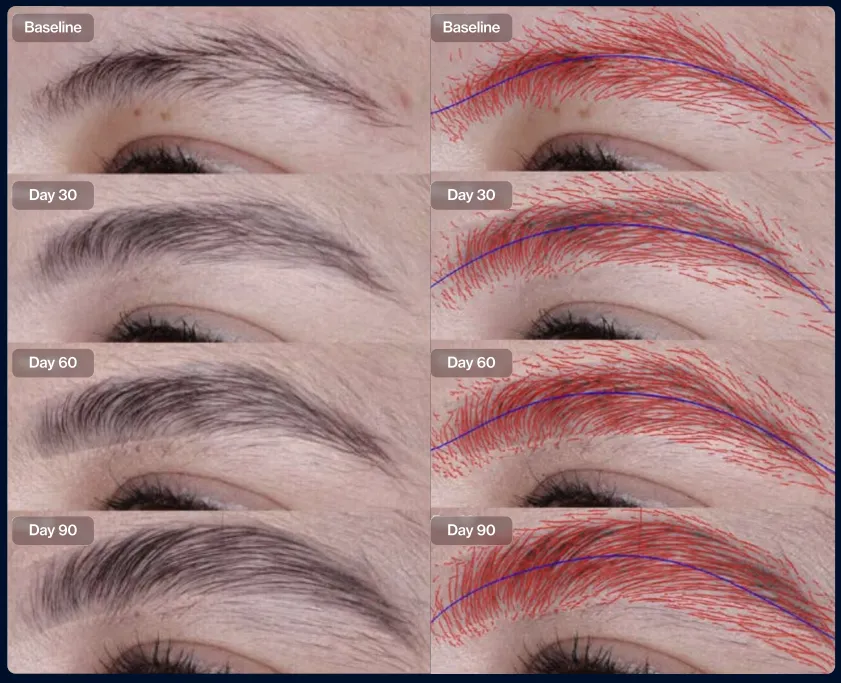 Screenshot 2025-11-10 094724