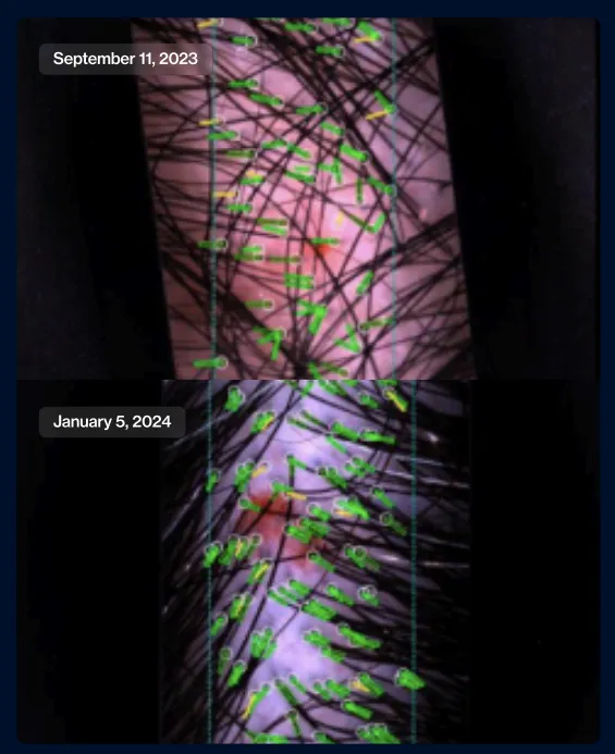 Screenshot 2025-11-10 101503